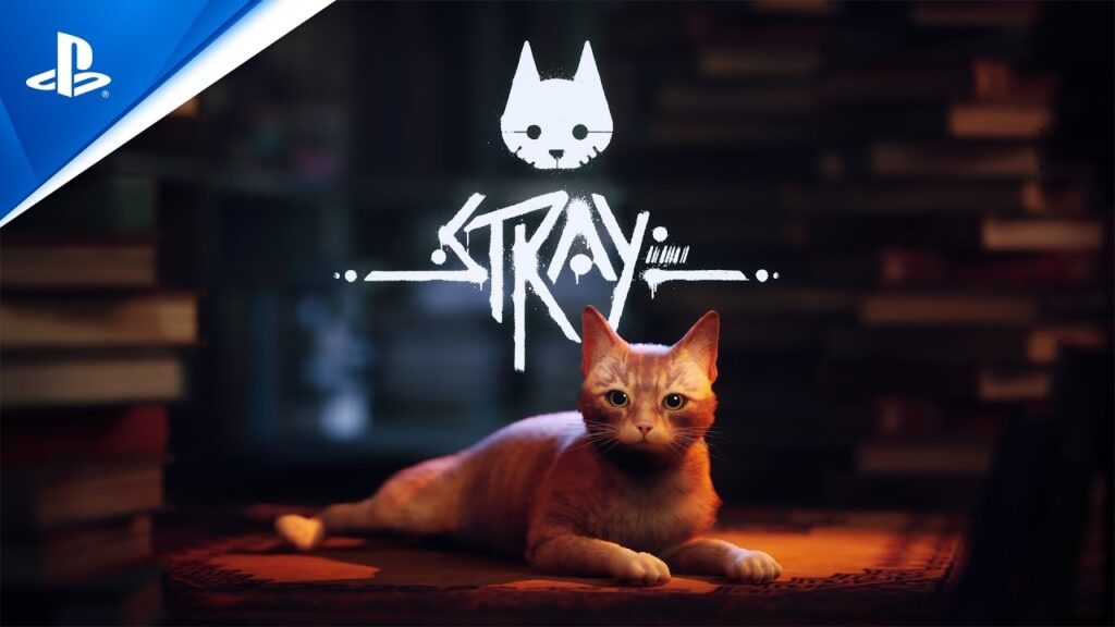 Un chat noir et blanc se perd sur Xbox : l'aventure de Stray à découvrir !