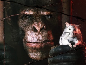 The brotherhood présente animal use protocol, un jeu 3d prometteur