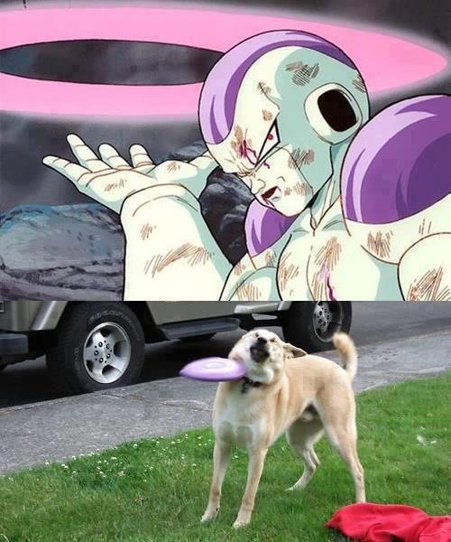 La version Dragon Ball Z de Paf le chien !