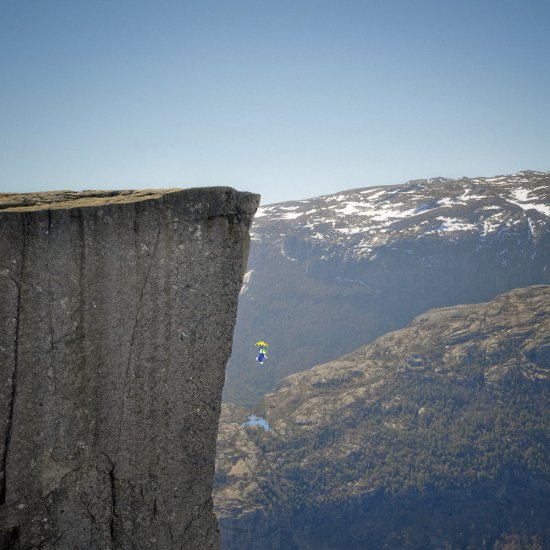 Lemmings en vrai